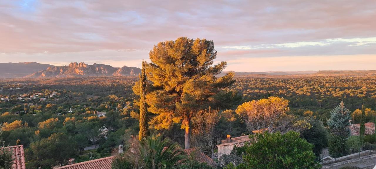 Corniche Du Paradis Roquebrune-sur-Argens Exterior photo